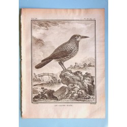 Le Casse-Noix - Buffon pl 9